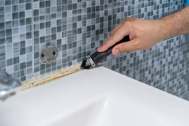 Best Mold Cleaning Services  in Clinton, MO